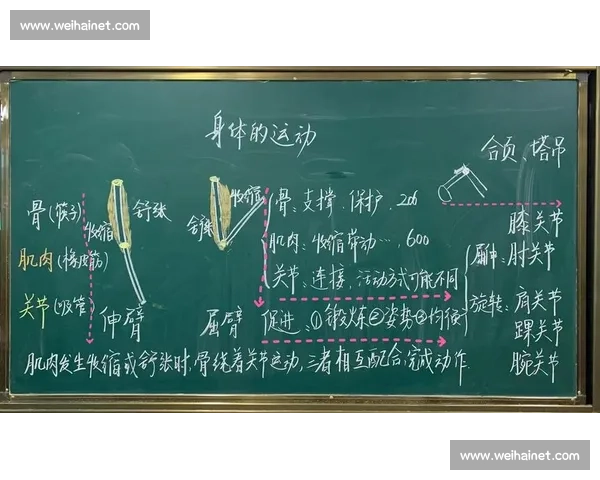 全面提升运动表现的科学方法与实用体育指导策略探索