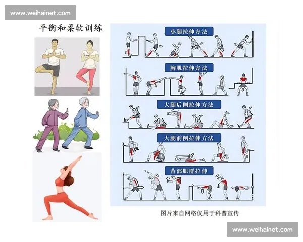全面提升体能与技巧的科学体育运动训练指导方案