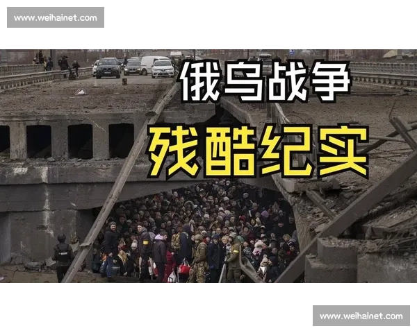 热血沸腾的城市摔跤锦标赛巅峰对决与荣耀之路全景纪实特别报道篇
