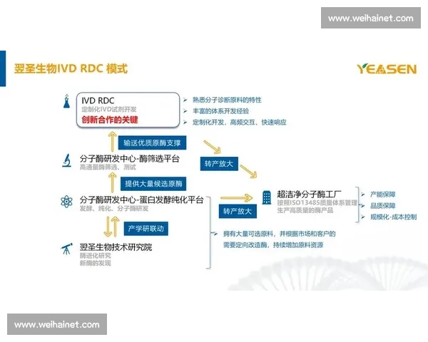 体育竞赛组织管理与高效运作模式创新研究与实践探索