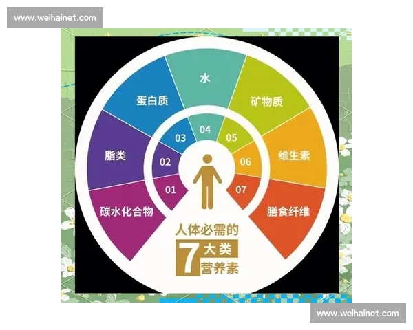 科学管理体重的方法与日常生活习惯优化指南 科学管理体重的方法与日常生活习惯优化指南